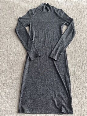 Aritzia Wilfred Free Ribbed Long Sleeve Turtleneck Dress - Gray